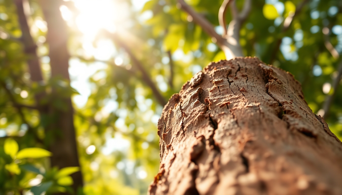 Cinnamon Bark extracted from a tree, showcasing its textured surface, against lush greenery.